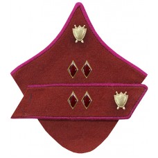 ДИВВОЕНЮРИСТ войск НКВД, петлицы обр. 1937 г..
